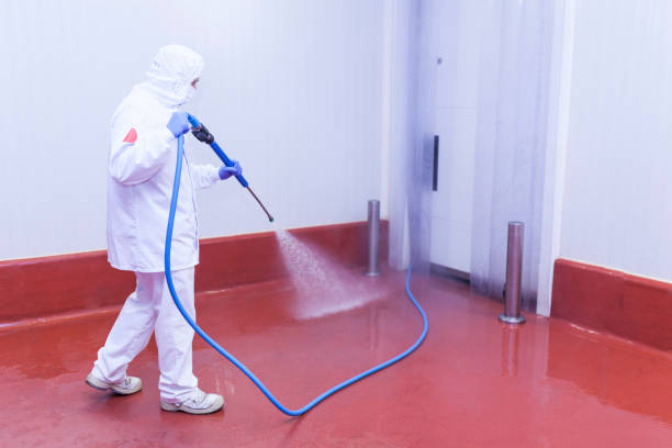Best Rust Removal  in Del Monte Forest, CA